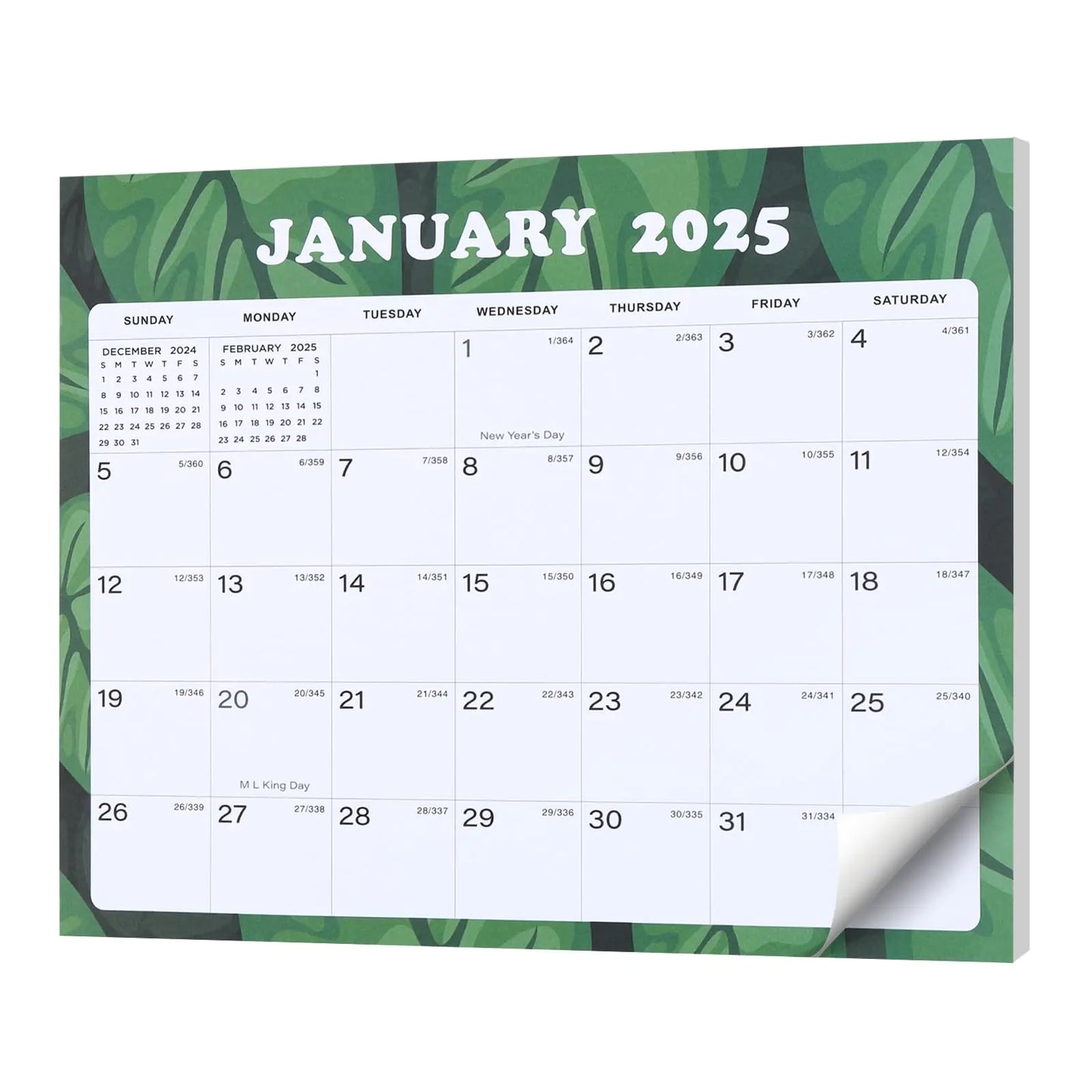 Lbylyhxc Fridge Calendar 2025 Magnetic Calendar for Refrigerator Fridge Calendar 2024-2025 Runs from July 2024 Until December 2025 18 Monthly Refrigerator Calendar with Julian Dates for Easy Organizing (Green Leaves)